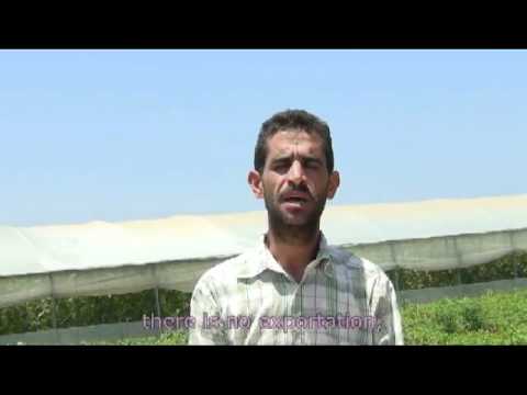 Occupied Lives: Farming without a Market