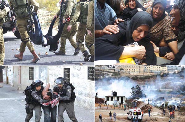 Weekly Report On Israeli Human Rights Violations in the Occupied Palestinian Territory (01 – 07 Oct.  2015)