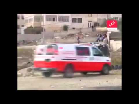 Videos and Photos Showing Israeli Violations Against Palestinian Civilians