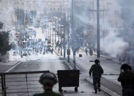 Weekly Report On Israeli Human Rights Violations in the Occupied Palestinian Territory (05 – 11 November  2015)