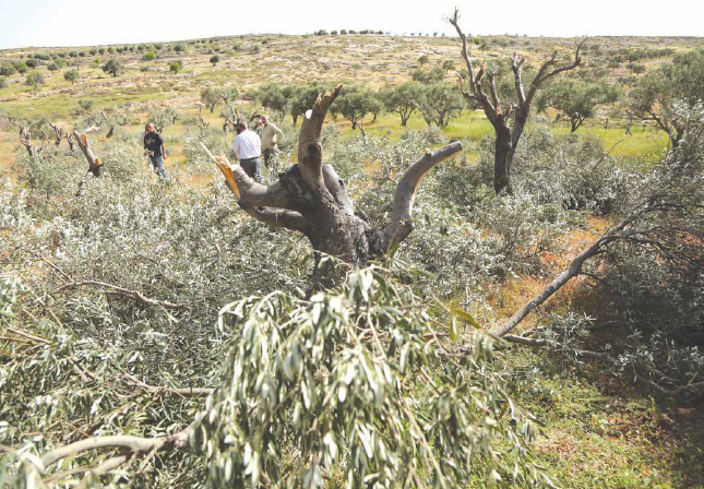 Weekly Report On Israeli Human Rights Violations in the Occupied Palestinian Territory (06 – 12 April 2017)