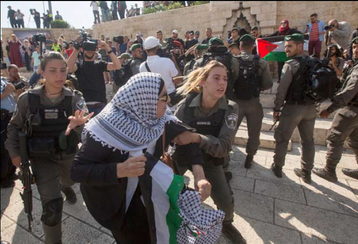Weekly Report On Israeli Human Rights Violations in the Occupied Palestinian Territory (25 – 31 May 2017)