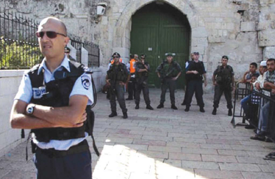 Weekly Report On Israeli Human Rights Violations in the Occupied Palestinian Territory (08 – 14 June 2017)