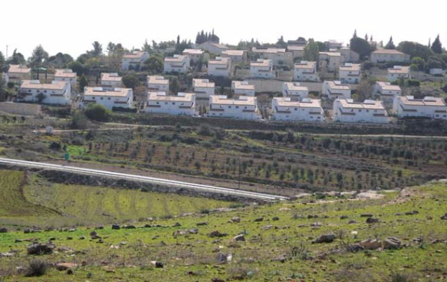 Weekly Report On Israeli Human Rights Violations in the Occupied Palestinian Territory (19 – 25 October 2017)