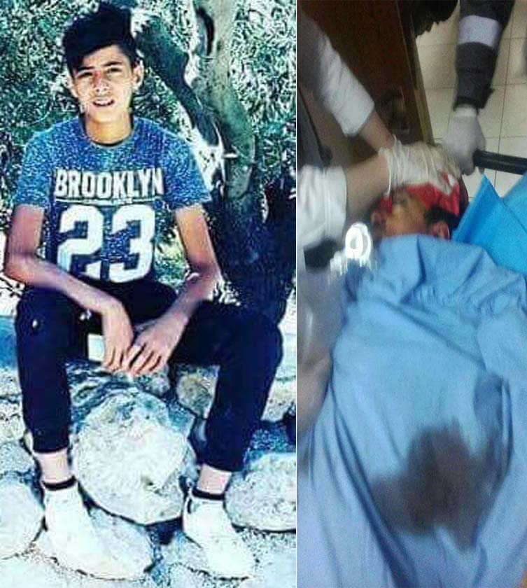 Weekly Report On Israeli Human Rights Violations in the Occupied Palestinian Territory (25- 31 January 2018)