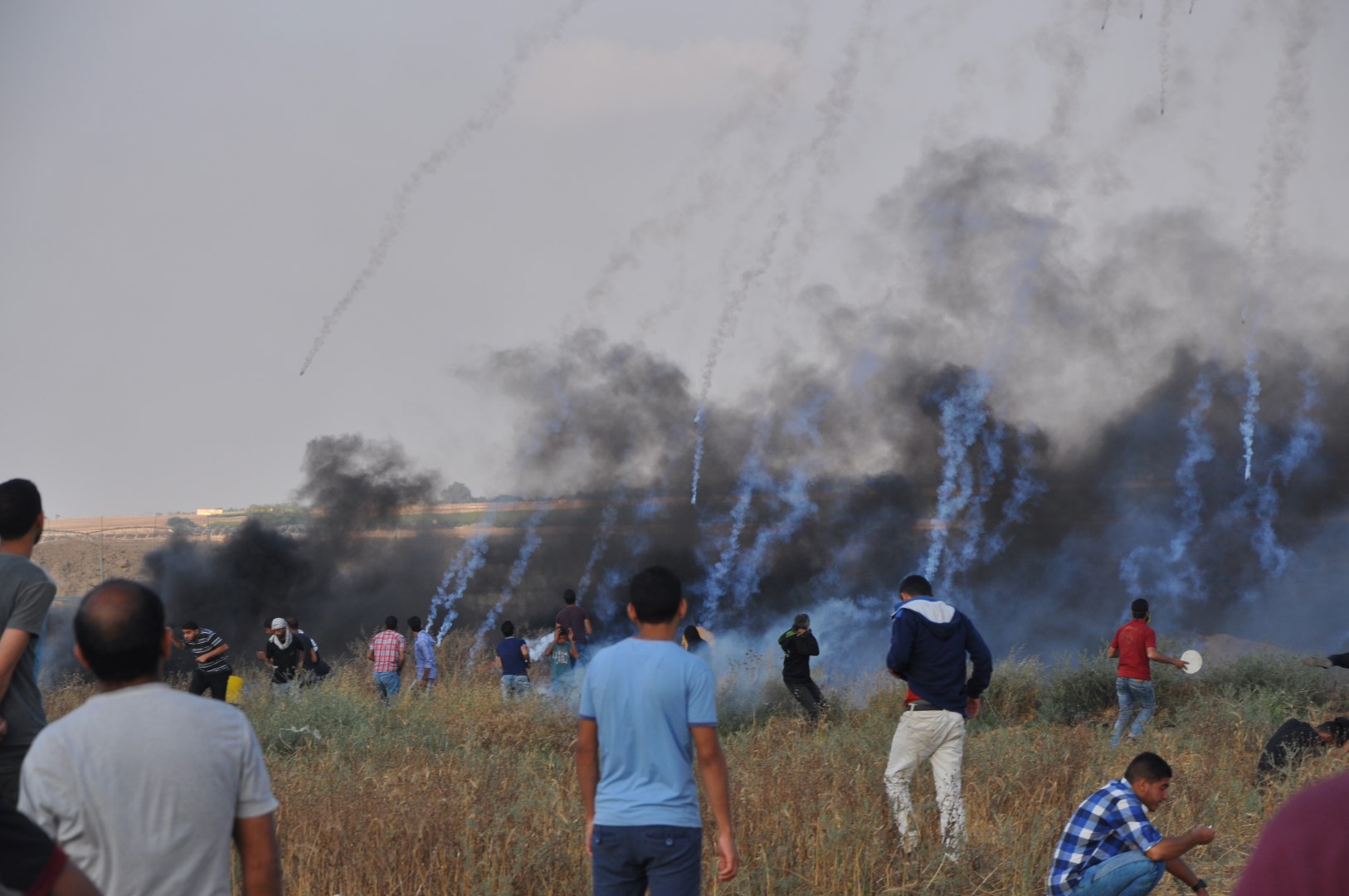 Weekly Report On Israeli Human Rights Violations in the Occupied Palestinian Territory (07 – 12 June 2018)