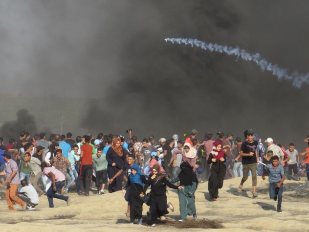 Weekly Report On Israeli Human Rights Violations in the Occupied Palestinian Territory (05 – 11 July  2018)