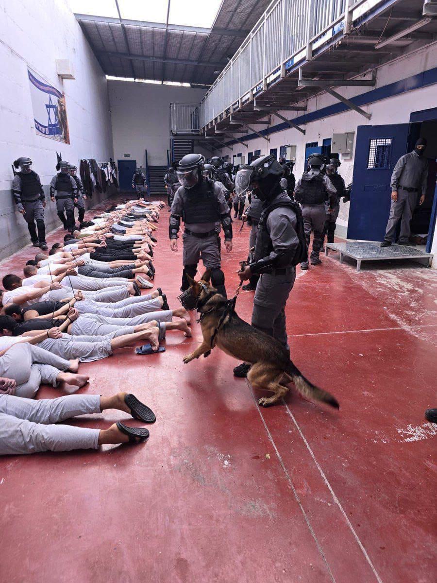 PCHR Releases Report on Torture and Genocide Against Palestinians from Gaza