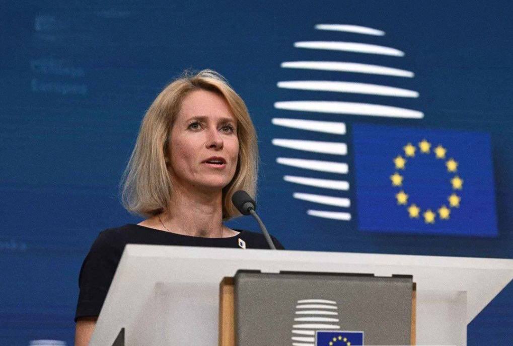 Over 185 Organisations Warn EU Failure to Suspend EU-Israel Association Agreement Violates Fundamental Human Rights Commitments